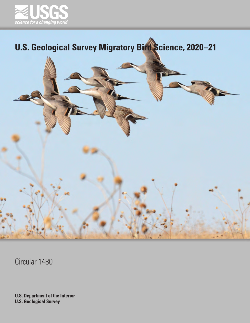 U.S. Geological Survey Migratory Bird Science, 2020–21