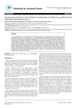 Comparative Study on the Volatile Constituents of Polyscias Guilfoylei
