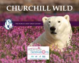 Churchill Wild