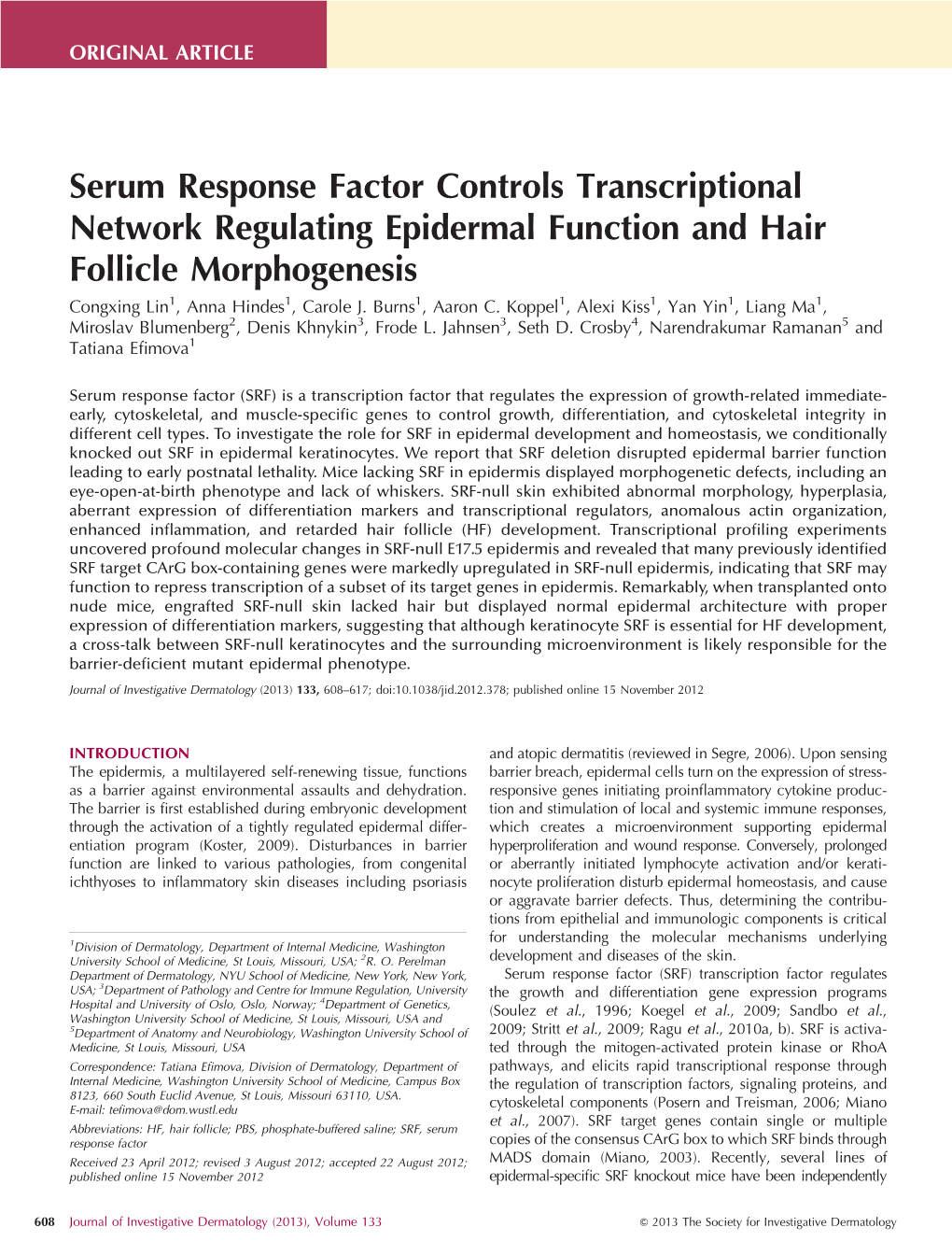 Serum Response Factor Controls Transcriptional Network Regulating