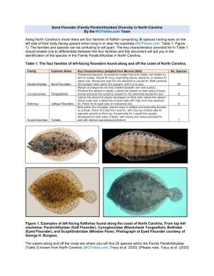 Sand Flounder (Family Paralichthyidae) Diversity in North Carolina by the Ncfishes.Com Team