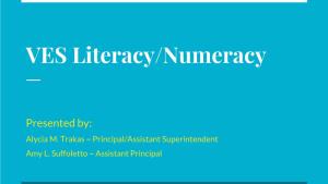 VES Literacy/Numeracy