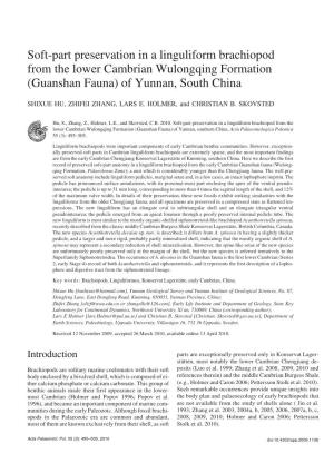Soft−Part Preservation in a Linguliform Brachiopod from the Lower Cambrian Wulongqing Formation (Guanshan Fauna) of Yunnan, South China
