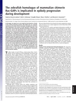 The Zebrafish Homologue of Mammalian Chimerin Rac-Gaps Is Implicated in Epiboly Progression During Development