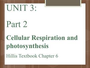 Cellular Respiration and Photosynthesis Hillis Textbook Chapter 6  Cellular Respiration Is a Major Catabolic Pathway