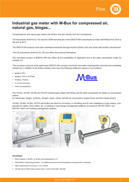 Industrial Gas Meter with M-Bus for Compressed Air, Natural Gas, Biogas