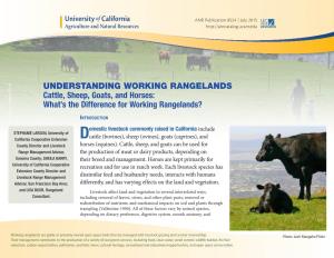 Cattle, Sheep, Goats, and Horses: What’S the Difference for Working Rangelands?
