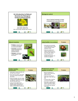 An Introduction to Natural Enemies for Biological Control of Pest Insects