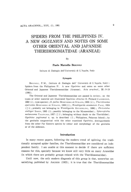 Spiders from the Philippines Iv. a New Ogulnius and Notes on Some Other Oriental and Japanese Theriiosomatidae (Araneae)