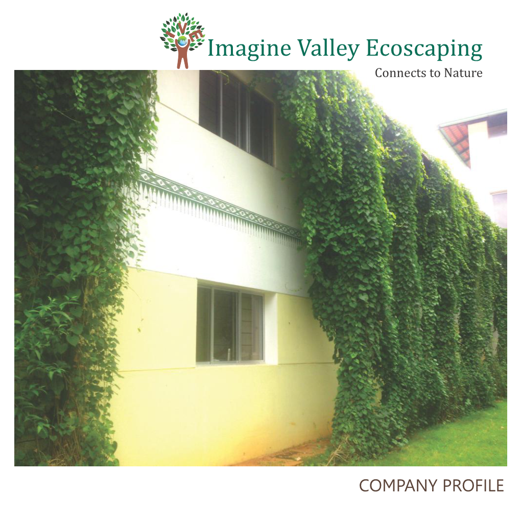 Imagine Valley Portfolio.Cdr