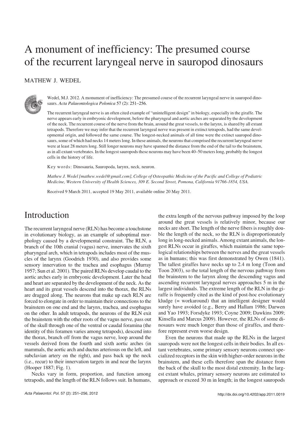 The Presumed Course of the Recurrent Laryngeal Nerve in Sauropod Dinosaurs