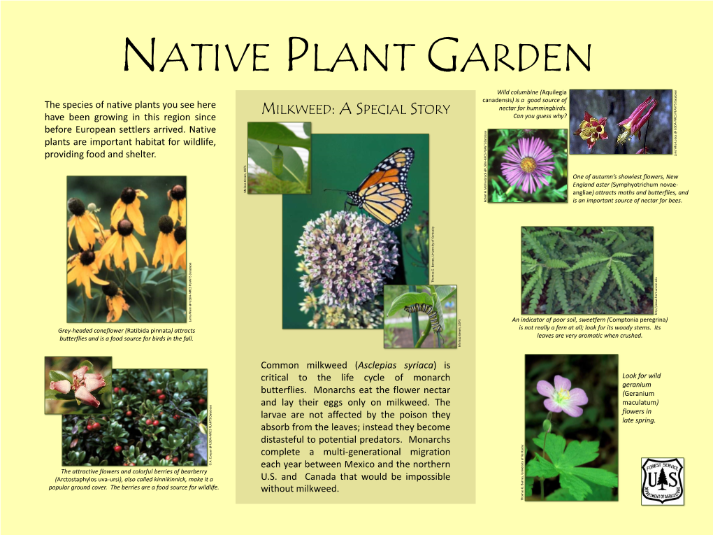 MILKWEED: a SPECIAL STORY Can You Guess Why? NRCS PLANTS Database PLANTS NRCS