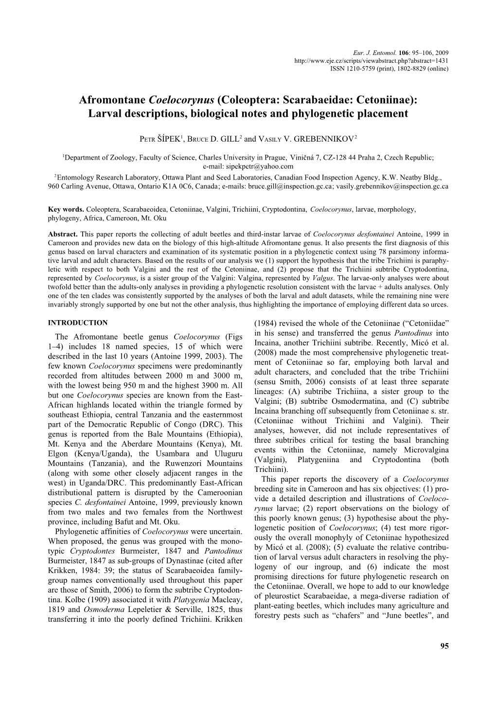 Coleoptera: Scarabaeidae: Cetoniinae): Larval Descriptions, Biological Notes and Phylogenetic Placement