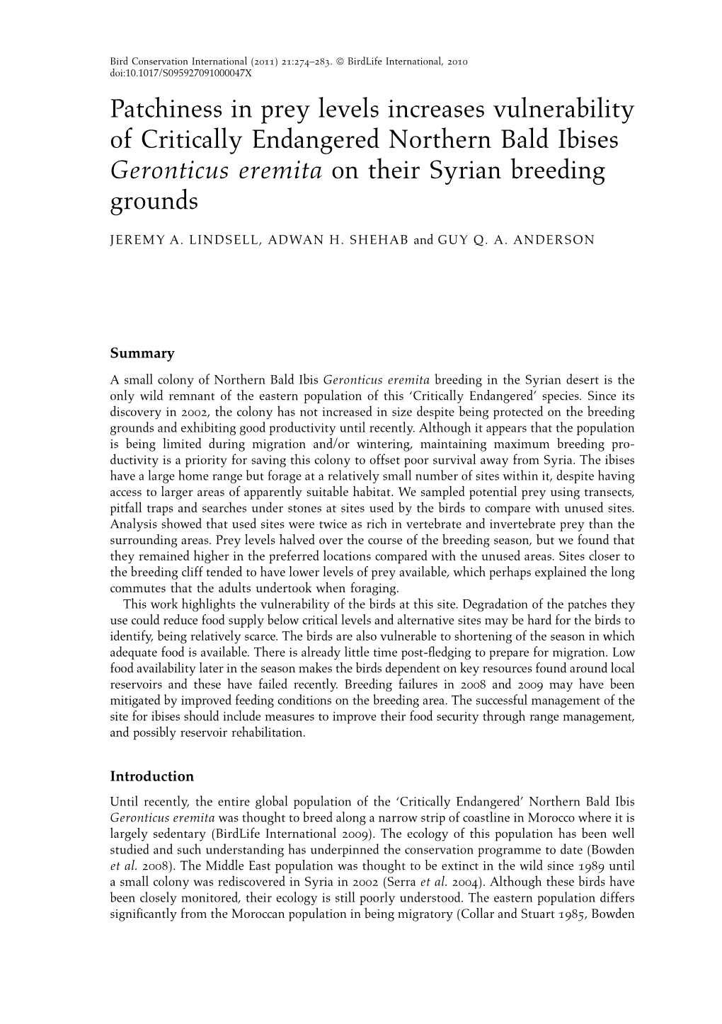 Patchiness in Prey Levels Increases Vulnerability of Critically Endangered Northern Bald Ibises Geronticus Eremita on Their Syrian Breeding Grounds