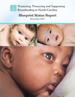 North Carolina Breastfeeding Blueprint Status Update December