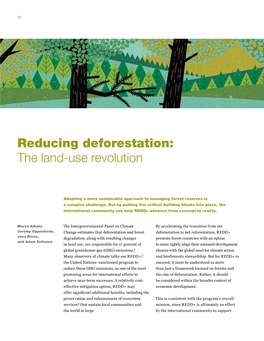 Reducing Deforestation: the Land-Use Revolution