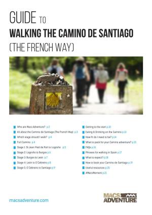 Guide to Walking the Camino De Santiago (The French Way)
