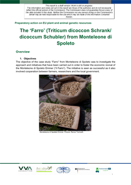 Farro’ (Triticum Dicoccon Schrank/ Dicoccum Schubler) from Monteleone Di Spoleto