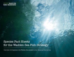 Species Fact Sheets for the Wadden Sea Fish Strategy