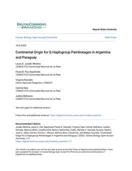 Continental Origin for Q Haplogroup Patrilineages in Argentina and Paraguay