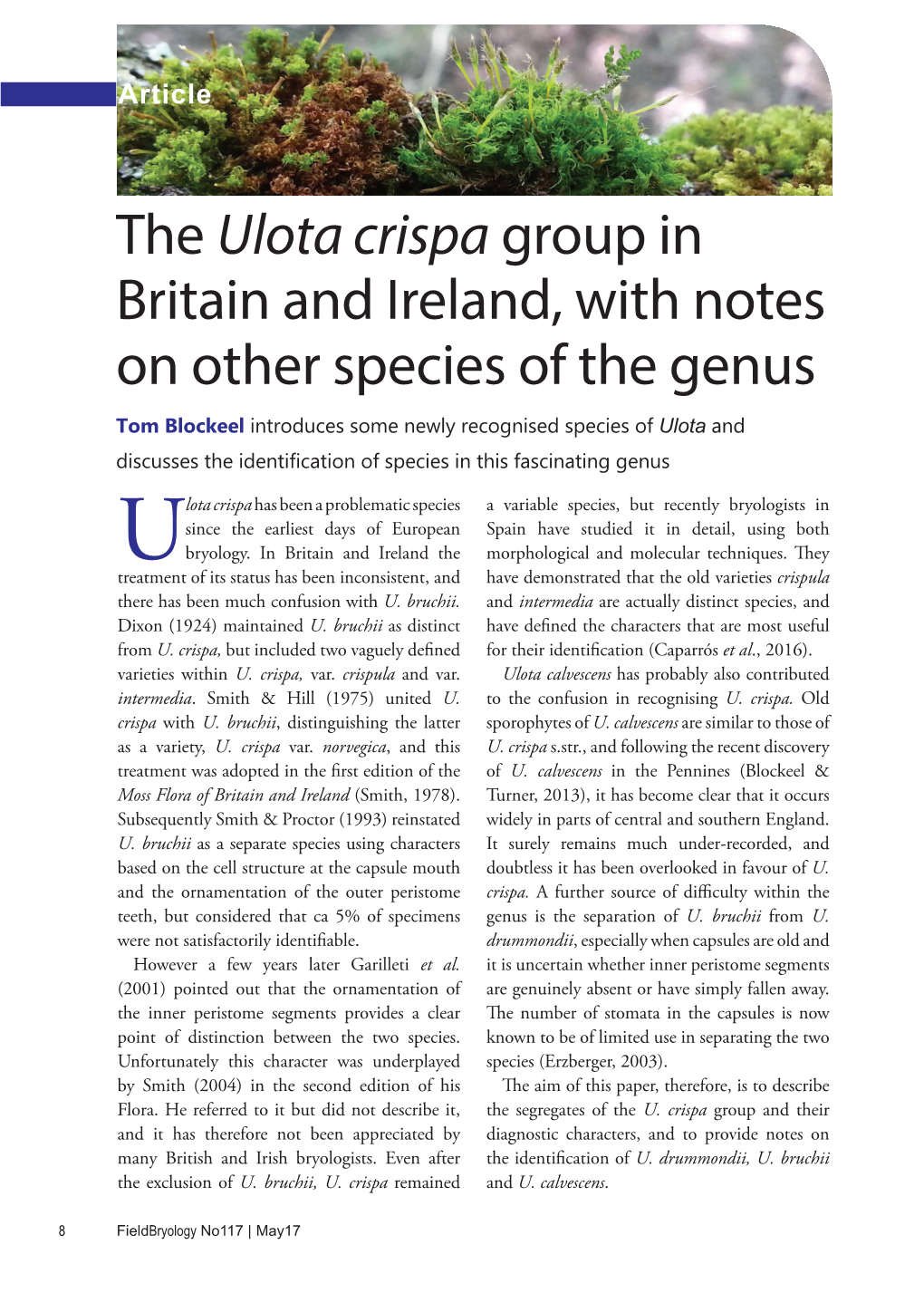 The Ulota Crispa Group in Britain and Ireland, with Notes on Other Species of the Genus