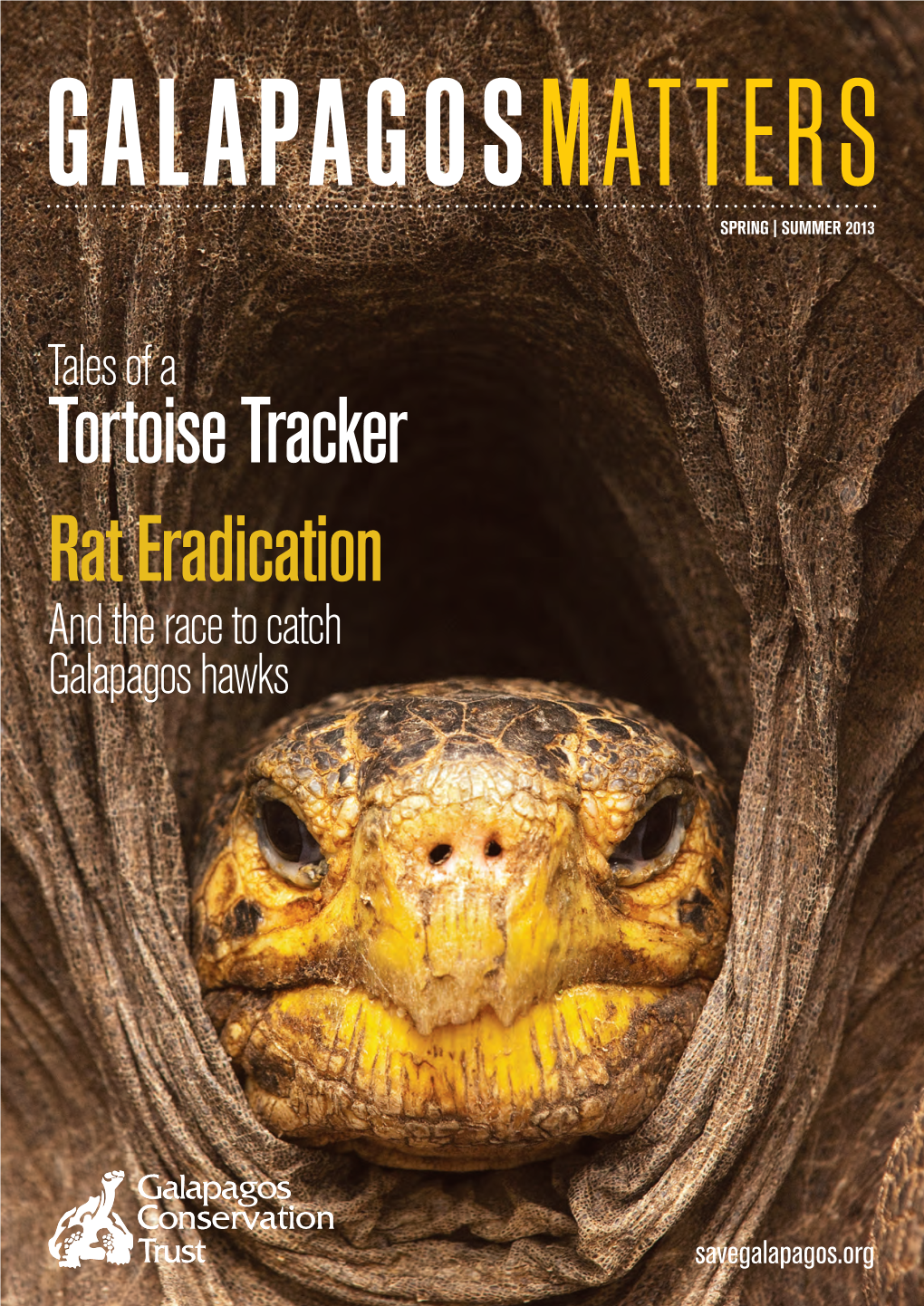 Rat Eradication Tortoise Tracker