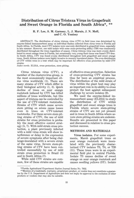 Distribution of Citrus Tristeza Virus in Grapefruit and Sweet Orange in Florida and South Africa*, ** R