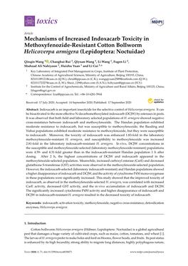 Mechanisms of Increased Indoxacarb Toxicity in Methoxyfenozide-Resistant Cotton Bollworm Helicoverpa Armigera (Lepidoptera: Noctuidae)
