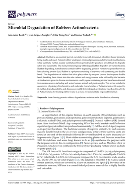 Microbial Degradation of Rubber: Actinobacteria