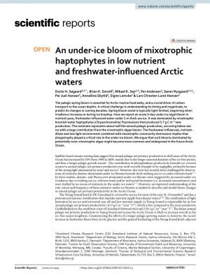 An Under-Ice Bloom of Mixotrophic Haptophytes in Low Nutrient And