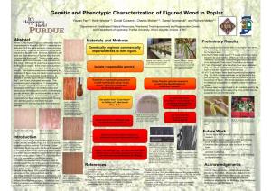 Genetic and Phenotypic Characterization of Figured Wood in Poplar