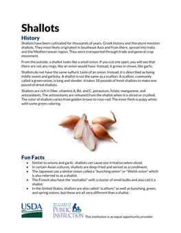 Shallots History Shallots Have Been Cultivated for Thousands of Years
