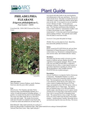 Philadelphia Fleabane Is a Native, Biennial Or Short-Lived, Somewhat Weedy, Perennial Herb