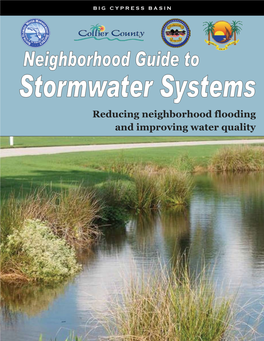 Reducing Neighborhood Flooding and Improving Water Quality
