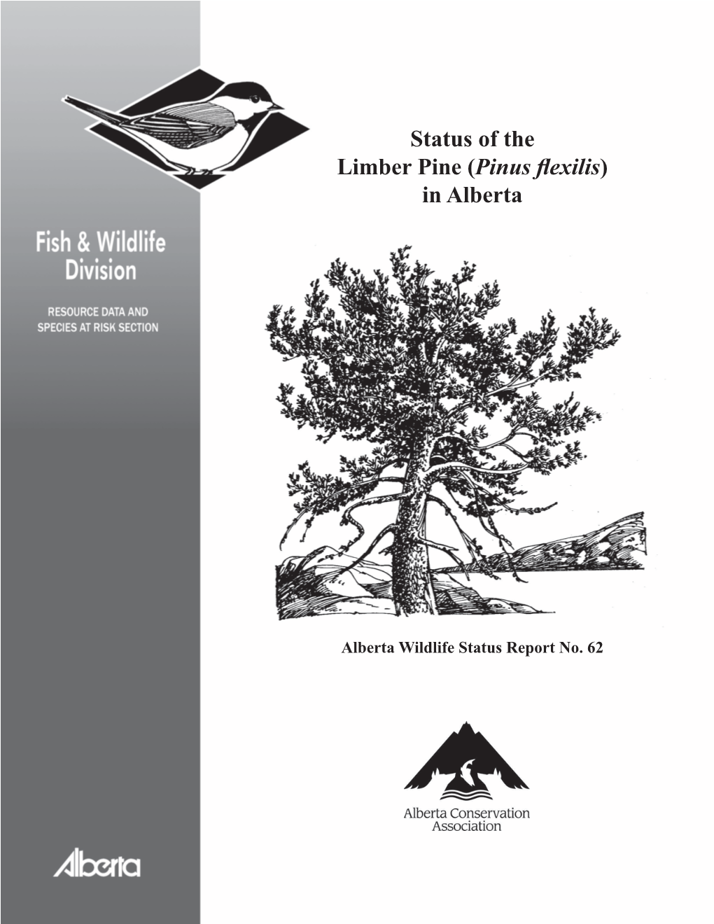 Status of the Limber Pine (Pinus Flexilis)