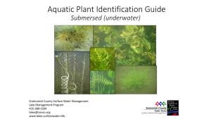 Aquatic Plant Identification Guide Submersed (Underwater)
