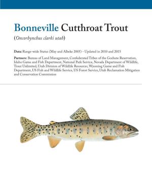 Bonneville Cutthroat Trout (Oncorhynchus Clarki Utah)