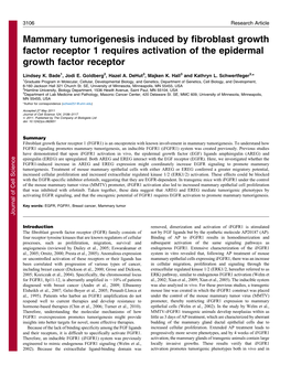 Mammary Tumorigenesis Induced by Fibroblast Growth Factor Receptor 1 Requires Activation of the Epidermal Growth Factor Receptor