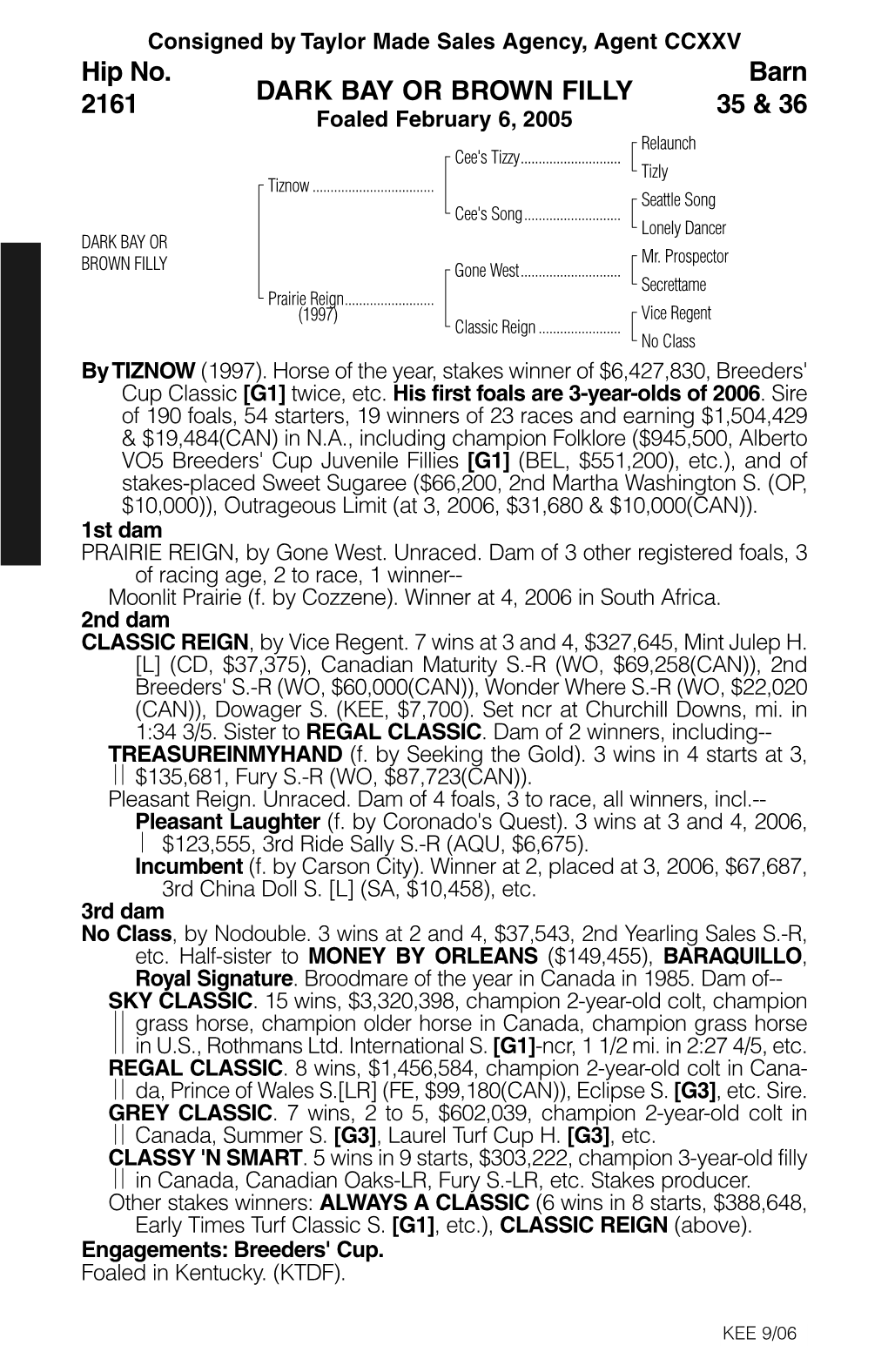 DARK BAY OR BROWN FILLY Barn 35 & 36 Hip No. 2161