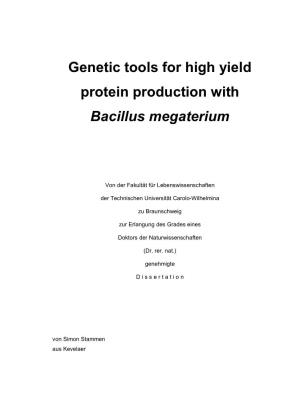 Genetic Tools for High Yield Protein Production with Bacillus Megaterium