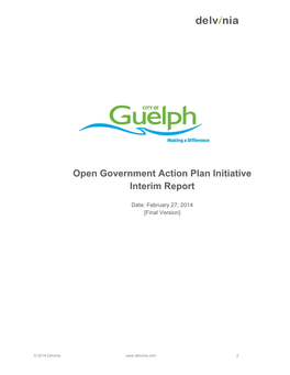 Open Government Action Plan Initiative Interim Report