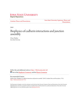 Biophysics of Cadherin Interactions and Junction Assembly Omer Shafraz Iowa State University