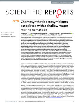 Chemosynthetic Ectosymbionts Associated with a Shallow-Water