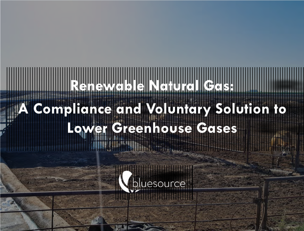 Renewable Natural Gas: a Compliance and Voluntary Solution to Lower Greenhouse Gases BLUESOURCE IS…