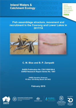 Fish Assemblage Structure, Movement and Recruitment in the Coorong and Lower Lakes in 2017/18