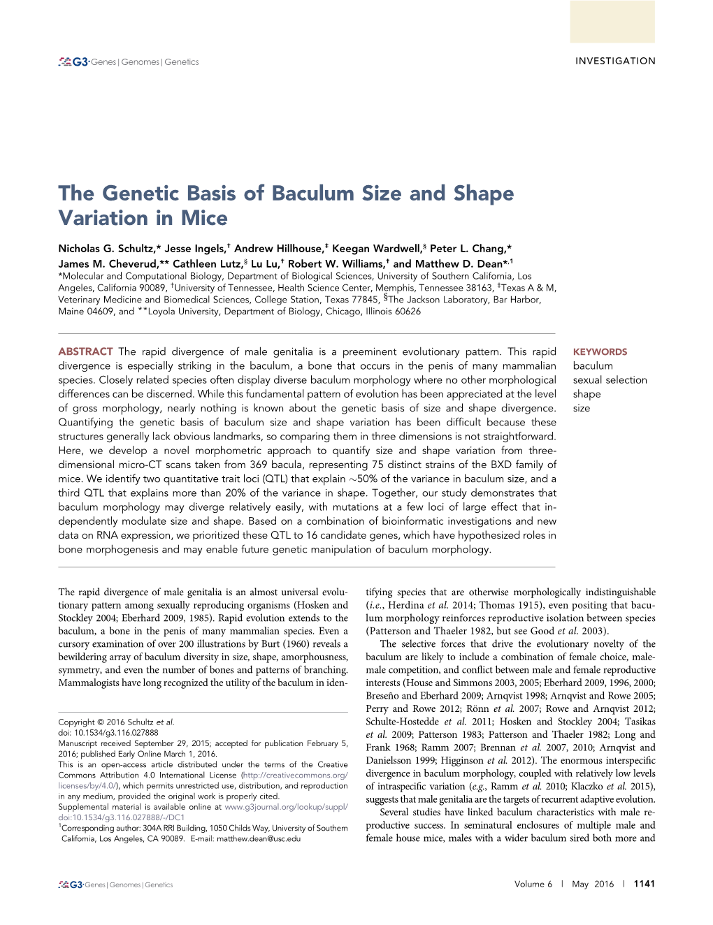 The Genetic Basis of Baculum Size and Shape Variation in Mice