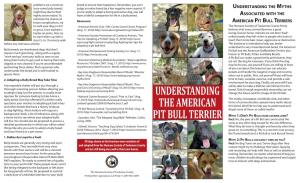 Understanding the American Pit Bull Terrier