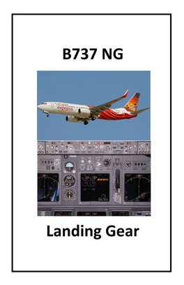 B737 NG Landing Gear