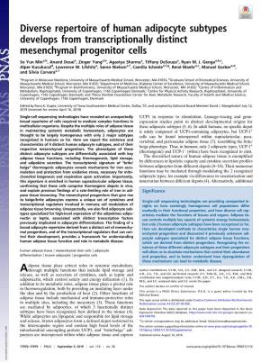 Diverse Repertoire of Human Adipocyte Subtypes Develops from Transcriptionally Distinct Mesenchymal Progenitor Cells
