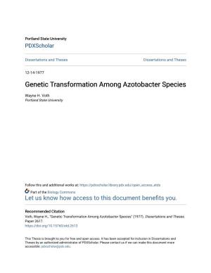 Genetic Transformation Among Azotobacter Species